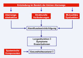 What are the types of copd (chronic obstructive pulmonary disease)? Pathogenese Der Copd Springerlink