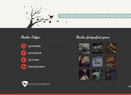 20 Websites That Engage Users With Social Media Icons And Links Social Media Icons Website Inspiration Social Media