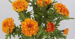 Marigold flowers from july to september. Silk Marigold Bush Orange Artificial Flowers