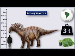 Top 20 Dinozauri Necunoscuți Youtube