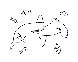 See more ideas about shark coloring pages, coloring pages, coloring pictures. Hammerhead Shark Coloring Page Art Starts