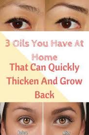 Do eyebrows grow back correctly? Fastest Way To Make Eyebrows Grow Back Eyebrowshaper
