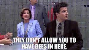 A car filled with thousands of bees was pulled over by montana police. Yarn They Don T Allow You To Have Bees In Here Arrested Development 2003 S01e22 Let Em Eat Cake Video Gifs By Quotes 1d84f35c ç´—