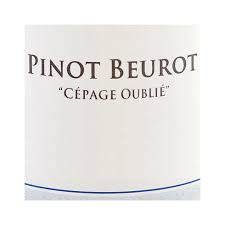 Maybe you would like to learn more about one of these? Pinot Beurot A Forgotten And Rare Burgundy Grape