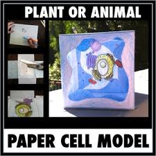 That is why you need to get a better understanding, prepare key on a sheet paper and illustrate various cell section. Cell Model Printable Pattern For A 3 D Free Standing Paper Cell Model