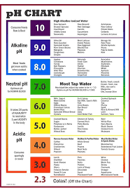 ph chart in color acidic foods alkaline foods alkaline diet