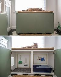 14 Moglichkeiten Den Katzenklo Zu Verstecken Und Corenne Den Katzenklo Moglichkeiten Und Verstecken Zu Katzen Toilette Katzen Klo Katzentoilette