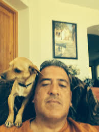 Has anyone seen a missing cat near Watson and Broadway?