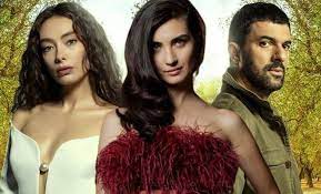 Star tv'de yayınlanan ve büyük beğeni toplayan sefirin kızı dizisine sürpriz bir isim dahil oldu. Sefirin Kizi Dizisine Neslihan Atagul Un Veda Etmesinin Ardindan Yerine Tuba Buyukustun Geldi
