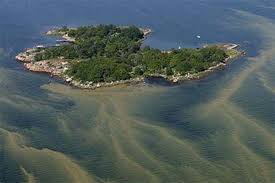 Djurägaren bör använda handskar för att skyddas från exponering av giftalger. Vorsicht Vergiftungsgefahr Durch Pilze Im Wald Bozita