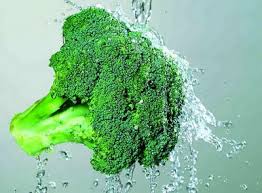 Image result for RAU MẦM CẢI XANH