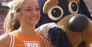 The Busy-ness of Being Smokey — Our Tennessee