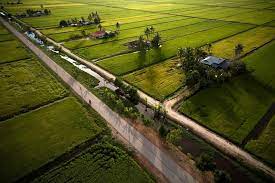 Technically they are not supposed to stop, but they do pass kuala selangor and sekinchan along the way. Paddy Fields And Fireflies Kuala Selangor Tour 1 Day 2021 Kuala Lumpur
