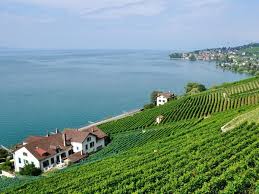 Enter your dates and choose from 788 hotels and other places to stay. Acheter Dans Le Canton De Vaud Allnews