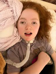 Summer Forest Paintings