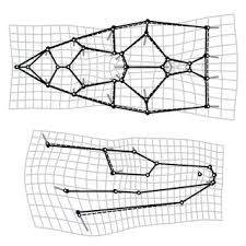 I did a backbend for 24 hours with my brother zak on top of me. Pdf Geometric Morphometrics In Herpetology Modern Tools For Enhancing The Study Of Morphological Variation In Amphibian And Reptiles