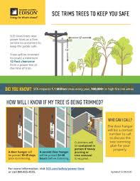 There are currently 8604 homes for sale in san bernardino county at a median listing price of $385k. Sce Offers Free Trimming Service To Homeowners Near Power Lines Newschannel 3 12