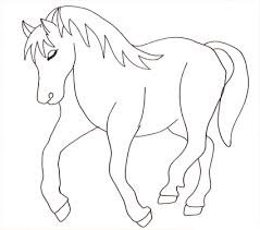 Disegno Di Stallone Cose Per Crescere