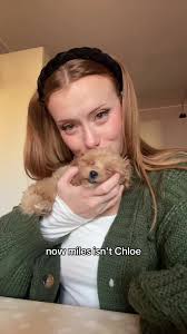 Replying to @larsi366 honestly i could make a million videos about Miles.  He’s my roman empire 🥺 #maltipoo #americaninitaly #lifeinitaly #