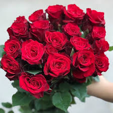 Hồng Đà Lạt Đỏ Mina