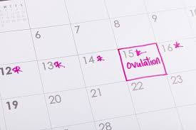 Ovulation Calculator Fast And Free Fertility Tracker