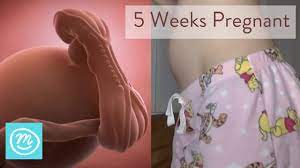 Apr 29, 2021 · my boyfriend came inside me days before i start my period, i had spotting for 5 days very light and bownish and bright when i peed only then the next week light cramping for 2 days, i feel bloated, moody and tired, i took a test but negative. 5 Weeks Pregnant What You Need To Know Channel Mum Youtube