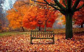 Autumn Wallpaper Autumn Wallpaper Desktop Wallpaper Fall Fall Wallpaper Autumn Scenes