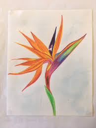 What people expect from tropical design is to feel themselves in paradise. Simple Bird Of Paradise Drawing Novocom Top