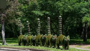 Lemur Gartenskulptur Blumenbeete Anlegen Botanischer Garten Montreal Gartenskulpturen Pflanzen Gartenskulptur