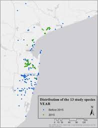 Image result for Krauseola mosambicina