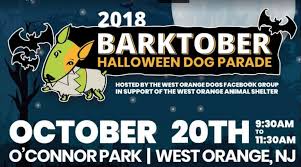 Learn about different termite types like subterranean termites, drywood termites and formosan termites. West Orange Dog Parents Organize First Barktober Dog Parade Tapinto