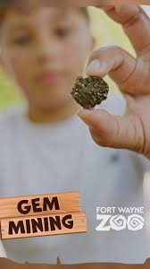 Check out Gem Mining at the Fort Wayne Zoo! From sparkling gemstones to  ancient fossils, discovery begins here. Located by the Z.O. & O. Railroad,  this experience allows people of all ages to let ...