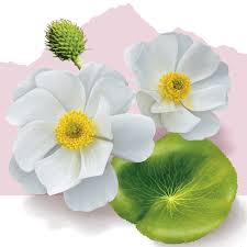 Maybe you would like to learn more about one of these? Stephen Fuller