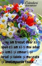 Traducir Contenido Plants