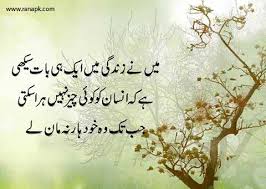 ٭ یہ دکھ درد ہی تو ہیں جو ہمیں ایک دوسرے کی اہمیت کا. Urdu Quote Main Ne