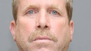 Manorville marijuana 'forest' seized, man arrested, officials say