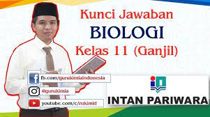 Kunci jawaban gambar disamping cuma cover saja silahkan lgsg download dibawah cara downloadnya tinggal buka terus tunggu 5 detik klik. Kunci Jawaban Intan Pariwara Biologi Kelas 11 Tahun 2020 2021