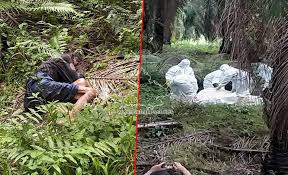 Semakan senarai hitam ptptn blacklist. Mayat Seorang Lelaki Ditemui Dalam Semak Ladang Sawit Sabah News Kini Portal Berita Semasa Dalam Dan Luar Negara