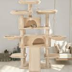 The areas with the most social significance are also important. The 10 Best Cat Trees For Large Cats We Re All About Pets