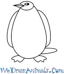 Its scientific name is aptenodytes forsteri. How To Draw A Simple Emperor Penguin For Kids