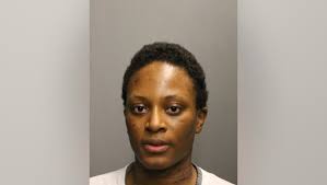 Chicago woman charged after stabbing 80-year-old, 60-year-old and dog