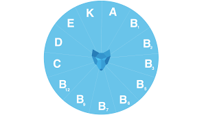 Here, learn about each of the 13 vitamins, including good sources and how they help. Was Sind Eigentlich Vitamine Sportbionier