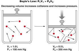 Boyle S Law Boyle S Law States That The Relationship Between The Pressure And Volume Of Gases Is Inversely P Pulmonary Gas Exchange Physiology Associate Degree
