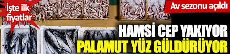Av Sezonu Acildi Iste Ilk Fiyatlar Hamsi Cep Yakiyor Hamsi Yuz Gulduruyor
