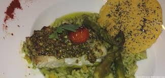 Epingle Sur Poissons