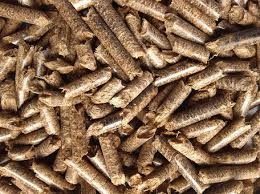 Empty fruit bunch (efb) is a kind of biomass formed during the production process of palm oil. Empty Fruit Bunch Efb Pellet Development Project Bumidayaresources Com
