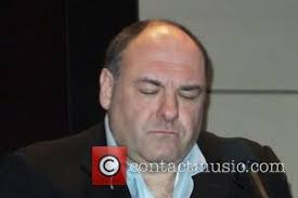 James gandolfini zero dark thirty. James Gandolfini James Gandolfini Apologises To Leon Panetta For Zero Dark Thirty Portrayal Contactmusic Com
