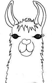 ***download your free copy of 'how to draw a horse' here: Llama Head Drawing Easy Novocom Top