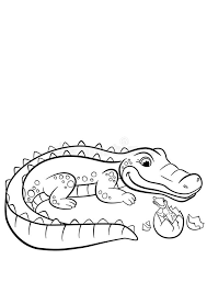 The alligator has a shorter mouth compared to the crocodile, and when it closes its mouth, only the upper teeth are exposed. Coloring Pages Animals Mother Alligator Stock Vector Illustration Of Coloration Alligator 72190170