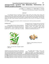 Reddish stems, looking like leaves. Pdf Antibacterial Activity And Medicinal Properties Of Ginger Zingiber Officinale